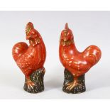 A PAIR OF 18TH / 19TH CENTURY IRON RED PORCELAIN FIGURES OF COCKERELS, with traces of gilded