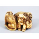 A JAPANESE EDO PERIOD CARVED IVORY NETSUKE OF A SHI SHI, TIGER & DOG BY TOMONOBU, the three