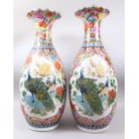 A LARGE PAIR OF 20TH CENTURY CHINESE FAMILLE ROSE PORCELAIN PEACOCK VASES, the body of the vases