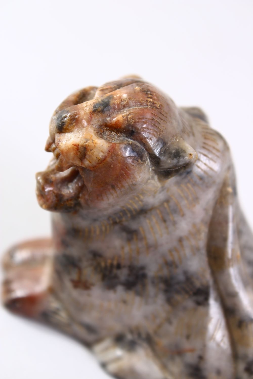 A GOOD 20TH CENTURY CHINESE CARVED HARDSTONE / SOAPSTONE FIGURE OF A TIGER / CAT, the animal in a - Image 4 of 4