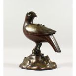 A GOOD 19TH CENTURY CHINESE BRONZE FIGURE / CENSER OF A HAWK, the hawk stood on a rocky outcrop