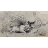Circle of Edwin Henry Landseer (1802-1873) British. Two Spaniels with a Dead Rabbit, Pencil and