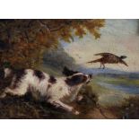 Manner of George Armfield (1808-1893) British. A Spaniel putting up a Pheasant, Oil on Board,