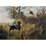 Henry Wilkinson (1921-2011) British. A Shooting Scene, with a Labrador putting up a Pheasant, with a