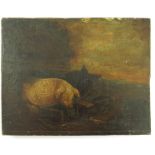 NAIVE 19TH CENTURY ENGLISH SCHOOL OIL ON CANVAS LAID ON PANEL DEPICTING PIGS FEEDING, APPROX. 25 X