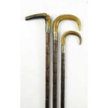 3 HORN HANDLE WALKING CANES WITH SILVER COLLARS