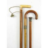 3 MALACCA WALKING STICKS, ONE WITH IVORY HANDLE AND GOLD COLLAR, ONE WITH HORN KNOP AND ONE OTHER