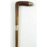 AN EDWARDIAN GENTLEMAN'S RHINO HORN WALKING STICK WITH SILVER BAND HAVING INSCRIBED DATE 17TH MAY
