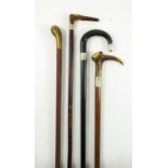 4 HORN HANDLE WALKING STICKS, ONE WITH SILVER COLLAR AND HANDLE TIP, ONE BRAID COVERED WITH GOLD