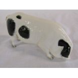 Beswick Gloucester all spot pig L 14 cm