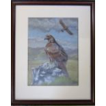 Framed pastel drawing of an eagle 45 cm x 55 cm (size including frame)