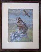 Framed pastel drawing of an eagle 45 cm x 55 cm (size including frame)