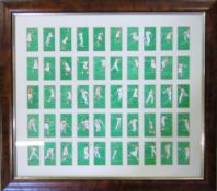 Framed set of Player's cigarette cards relating to tennis players 59 cm x 52 cm (size including