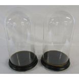 Pair of large glass domes with bases H 40 cm