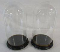 Pair of large glass domes with bases H 40 cm