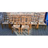 8 (inc. 2 carvers) reproduction 18th century ladder back oak dining chairs with rush seats