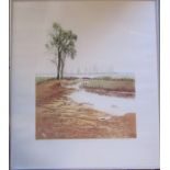 Large framed limited edition print by Claire Brown 44/150 hand colour etching entitled 'Fenlands',
