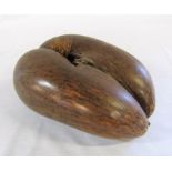 Coco de mer (Lodoicea) L 31 cm, W 22 cm, H 13 cm