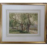 Framed watercolour of trees initialled CWP dated 1937 (Cecil Westland Pilcher 1870-1943) 45 cm x