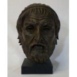 Replica resin bust of Sophocles, cast from the ori