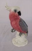 Beswick cockatoo figure no 1180 H 20 cm