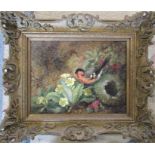Framed oil on canvas of a bird by its nest and primroses 43 cm x 36 cm (size including frame)