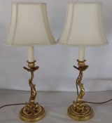 Pair of decorative brass table lamps in the form o