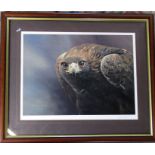 Framed limited edition print of a golden eagle 'Magnificent' by Alan M Hunt signed and numbered in