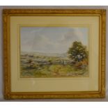 Framed watercolour landscape of a scene above Money Ash, Near Bakewell by Michael Crawley. Frame