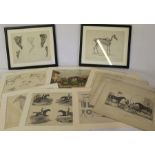 Selection of lithographic horse prints - some mounted and framed