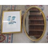 Gilt framed oval mirror & a framed botanical print