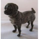 Small cold painted bronze of a pug dog L 7.5 cm H 6.5 cm