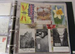 Postcard album containing approximately 204 advertising postcards and trade cards dating from the