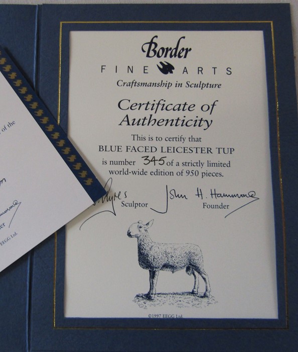 Limited edition Border Fine Arts 'Blue faced Leicester Tup' no 345/950 Sculptor R J Ayres complete - Image 2 of 2