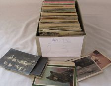 Box containing approximately 600 postcards relating to animals