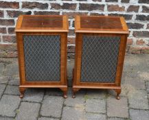 Pair of Dynatron speakers