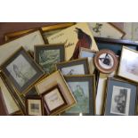 Selection of framed prints, book of Audubon prints etc.
