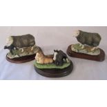 Border Fine Arts Herdwick sheep figures - ewe, ewe and lamb & two foals