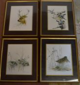 Set of 4 framed wildlife prints