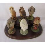 6 miniature Royal Doulton owls on stand