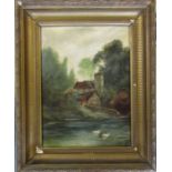 Gilt framed oil on canvas of a pair of swans on the river 46 cm x 56 cm (size including frame)