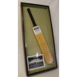 Cricket bat signed by the 2005 Warwickshire squad in glazed case