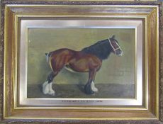 Framed oil painting of shire mare 'Tuttlebrook May Queen 55539' by Wilfred Lesley Mosley 1908 66