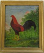 Late 19th century English School oil on card study of a cockerel, unsigned, inscribed verso '