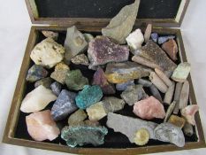 Selection of fossils, crystals and rock samples