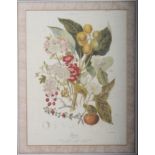 A set of four colour prints, botanical studies and still life bowl of fruit, in green painted