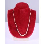 A graduated seed pearl necklace with an Art Deco yellow and white metal clasp, mounted single