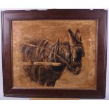 MEA, 1901: An Edwardian oil on canvas, study of a Donkey, 16" x 20", in mahogany frame