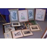 A quantity of prints, including studies of birds, landscapes and other framed pictures