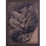 Andrew Vicari, 1967: a pencil study of a cat, 8 1/2" x 6 1/4", in gilt frame